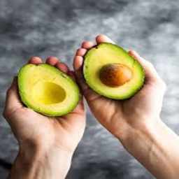 Avokado