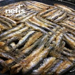 Hamsi Tava