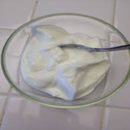 Yoğurt